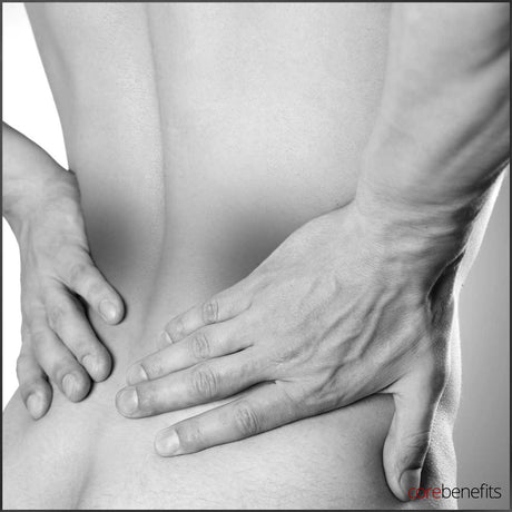 45 Minute Massage Value 8 Pack - Core Benefits Toowoomba - 8 Pack